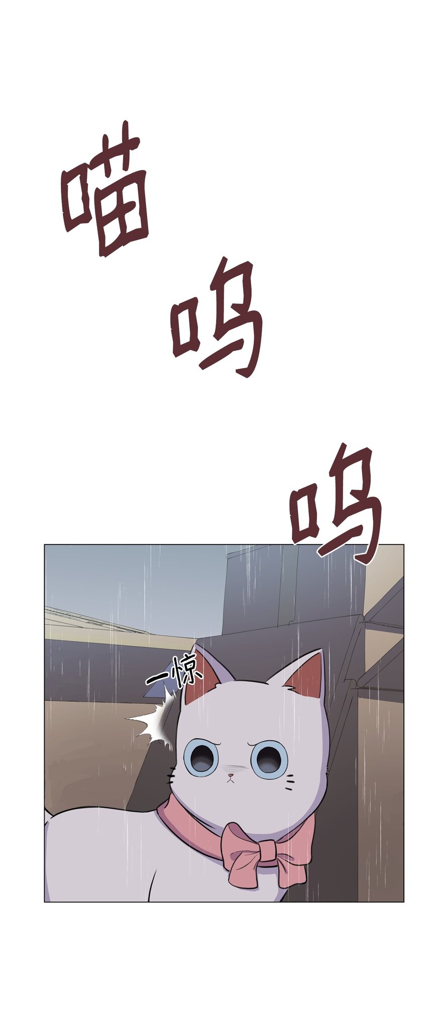 02 虐猫变态(1/2)-第2话