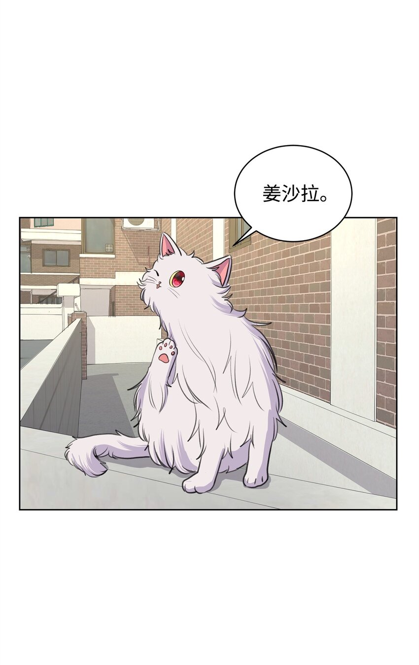 26 哥哥的手环(1/2)-第26话