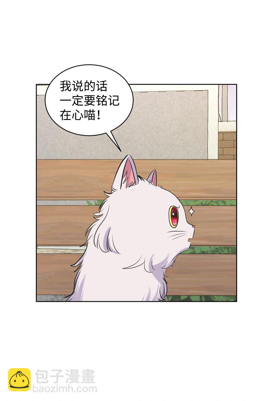 26 哥哥的手环(1/2)-第26话