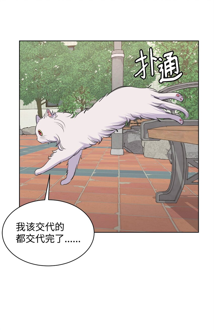 26 哥哥的手环(1/2)-第26话