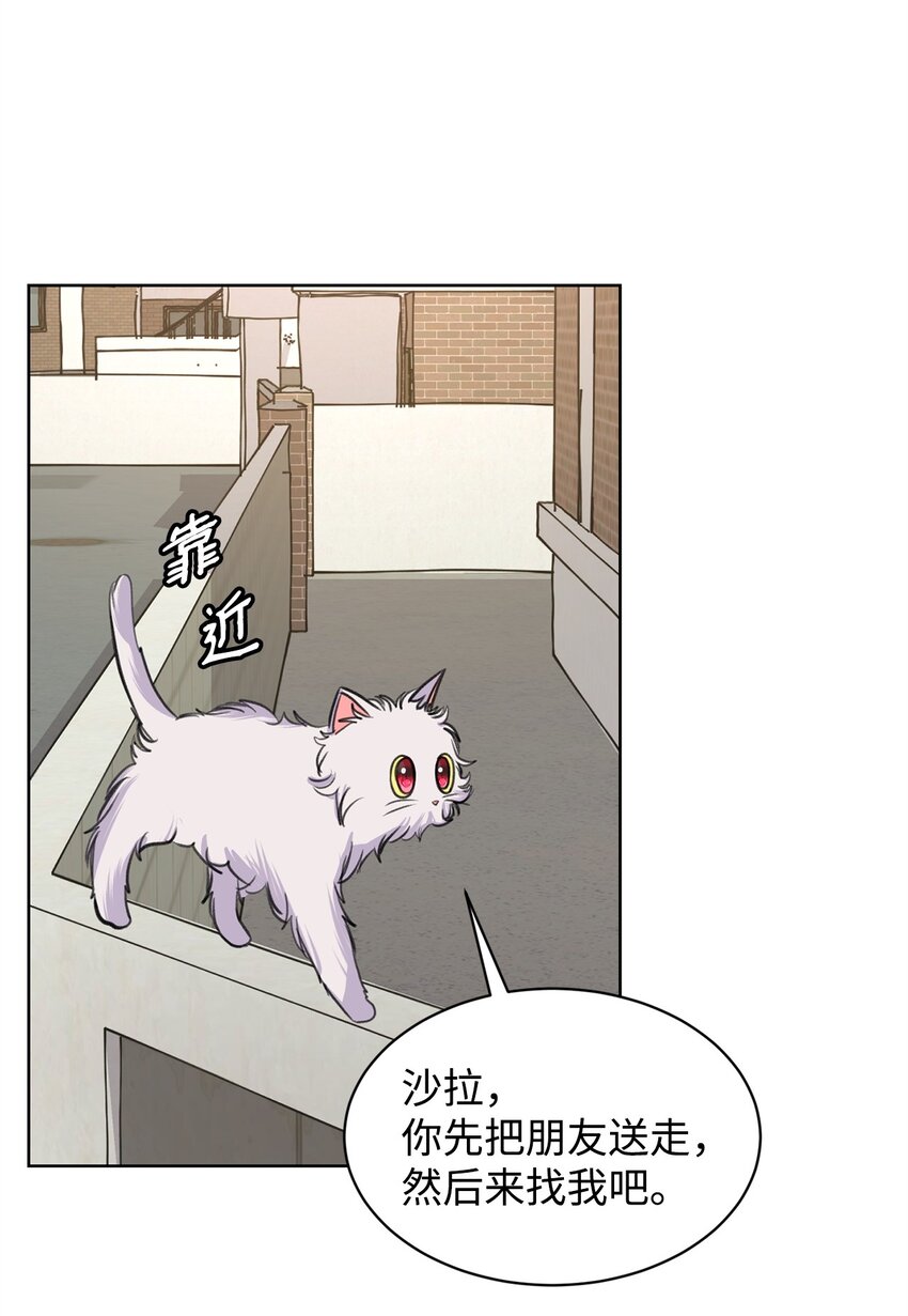 26 哥哥的手环(1/2)-第26话