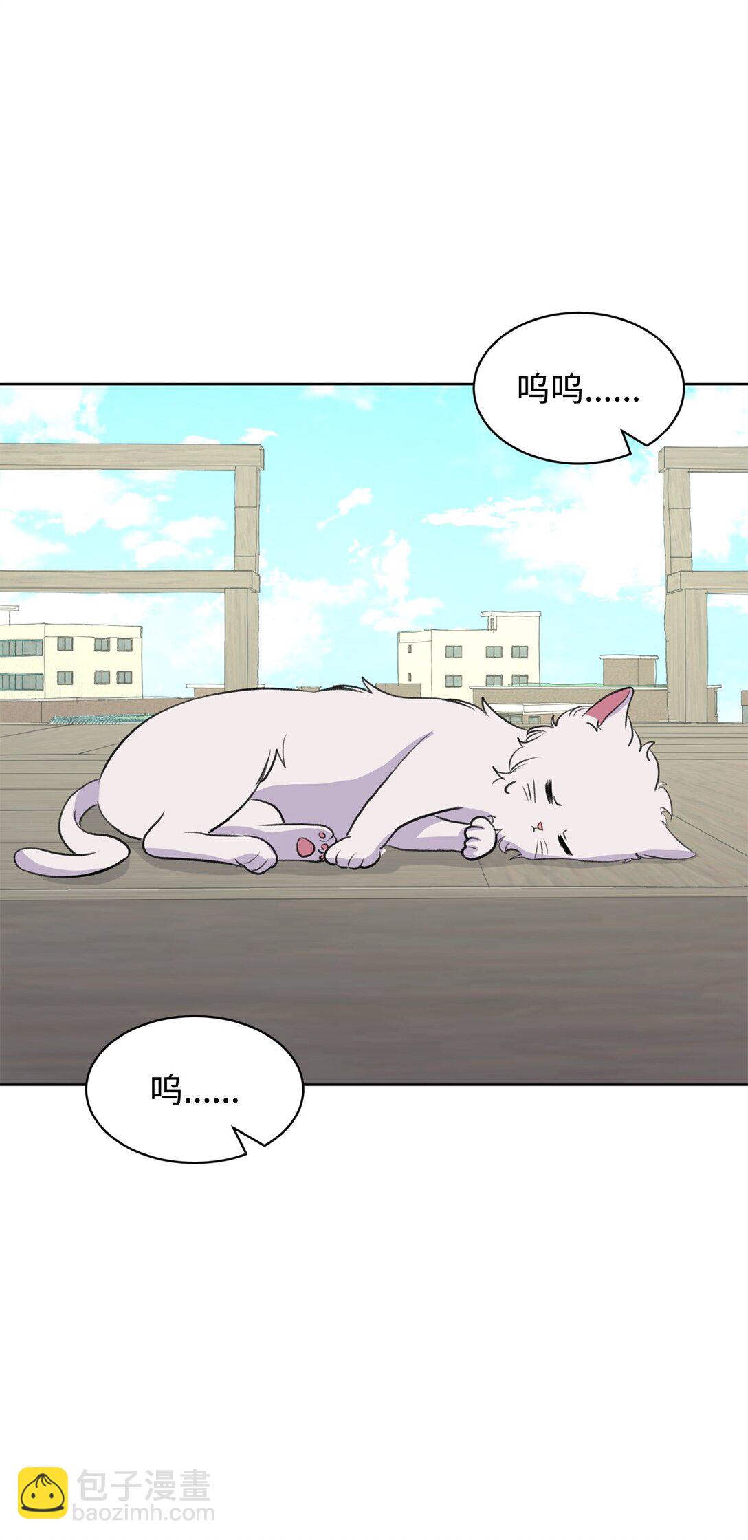 54 云芝的一天(1/2)-第54话
