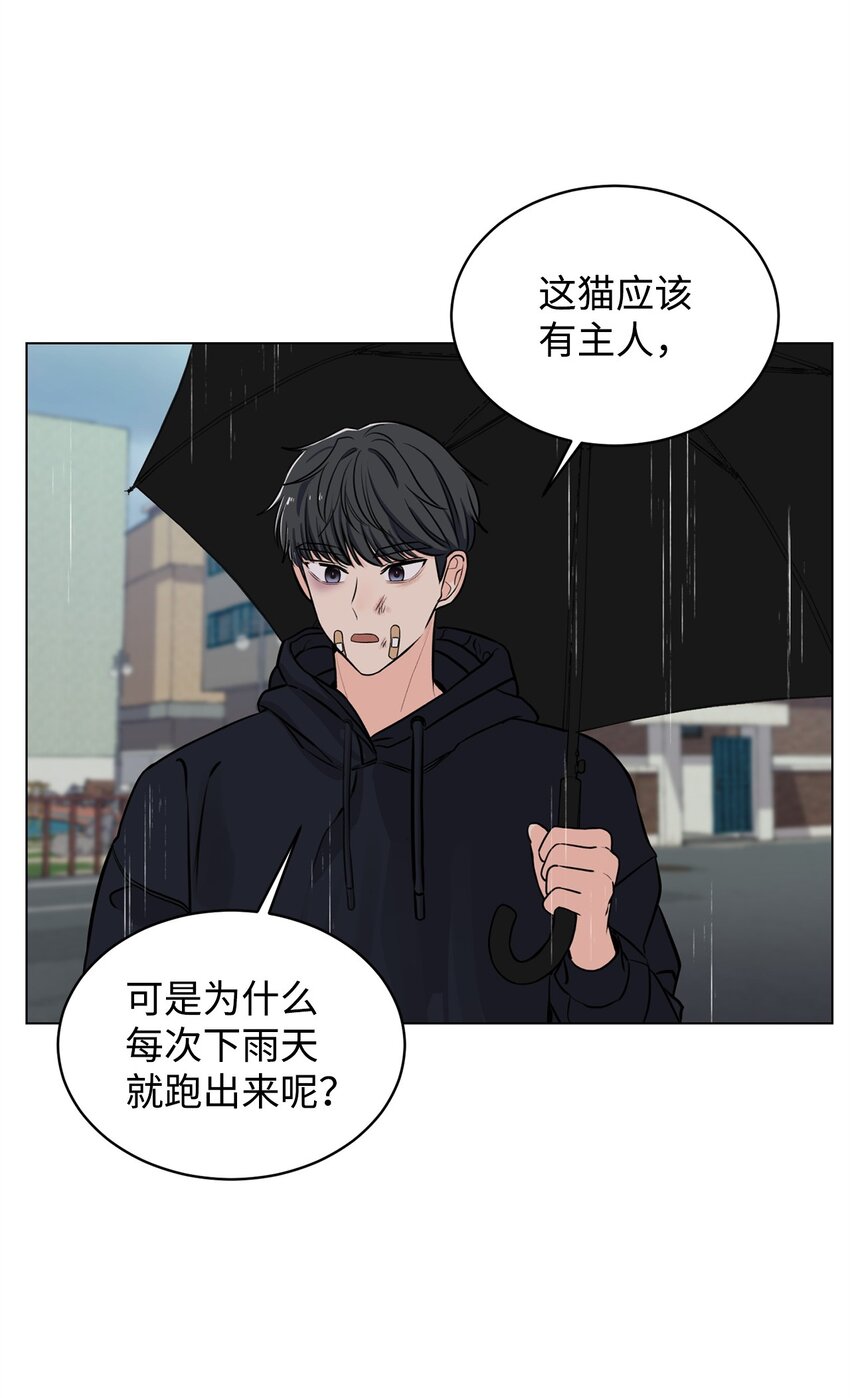 06 受伤的真相(1/2)-第6话