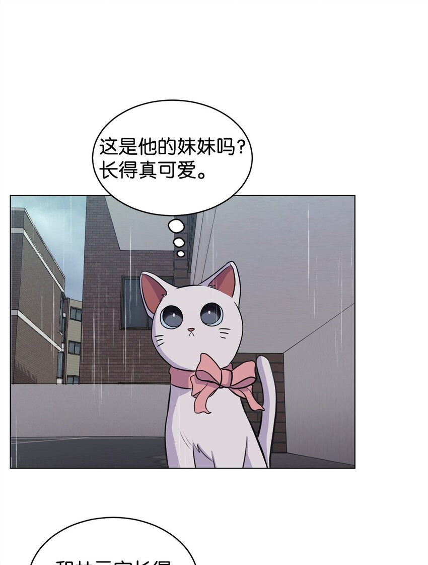 06 受伤的真相(1/2)-第6话