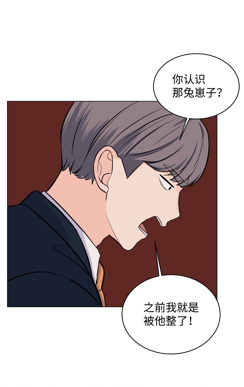 08 又有猫死了(1/2)-第8话