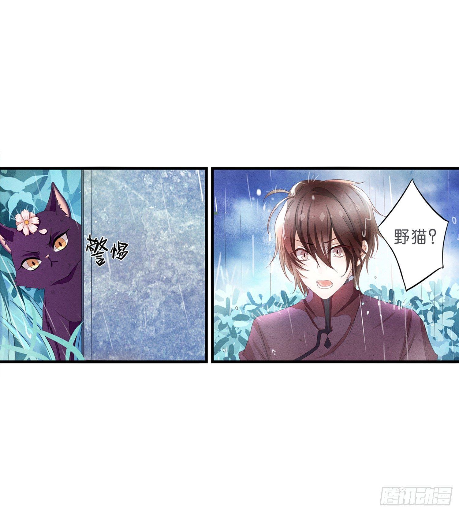 01 天降猫咪-第2话
