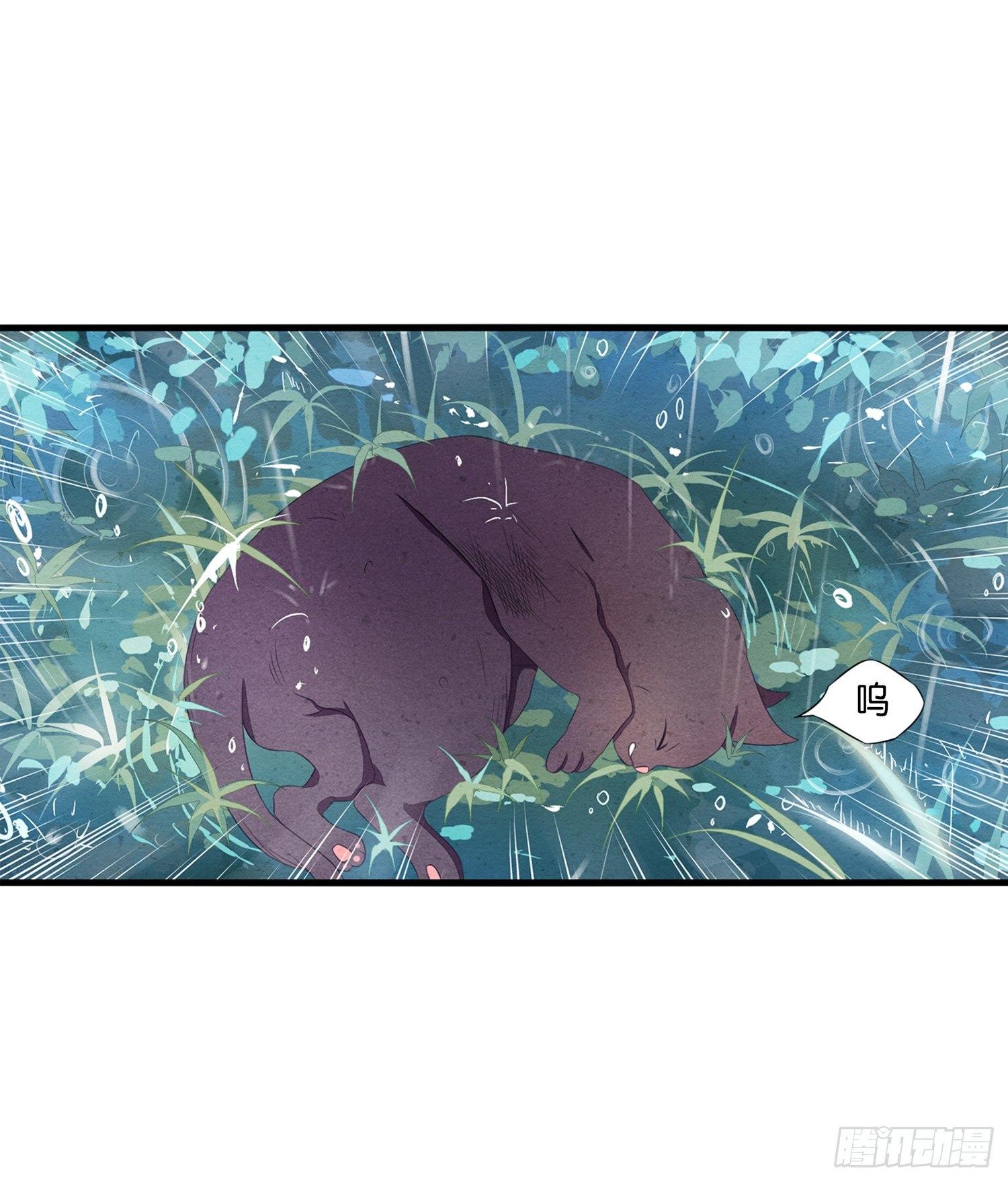01 天降猫咪-第2话