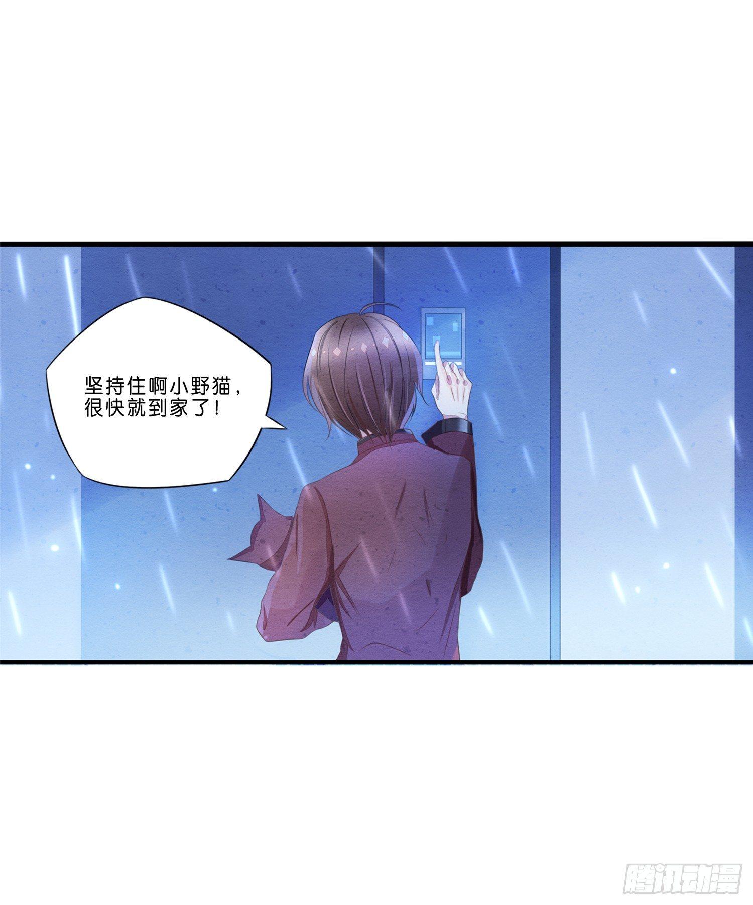 01 天降猫咪-第2话