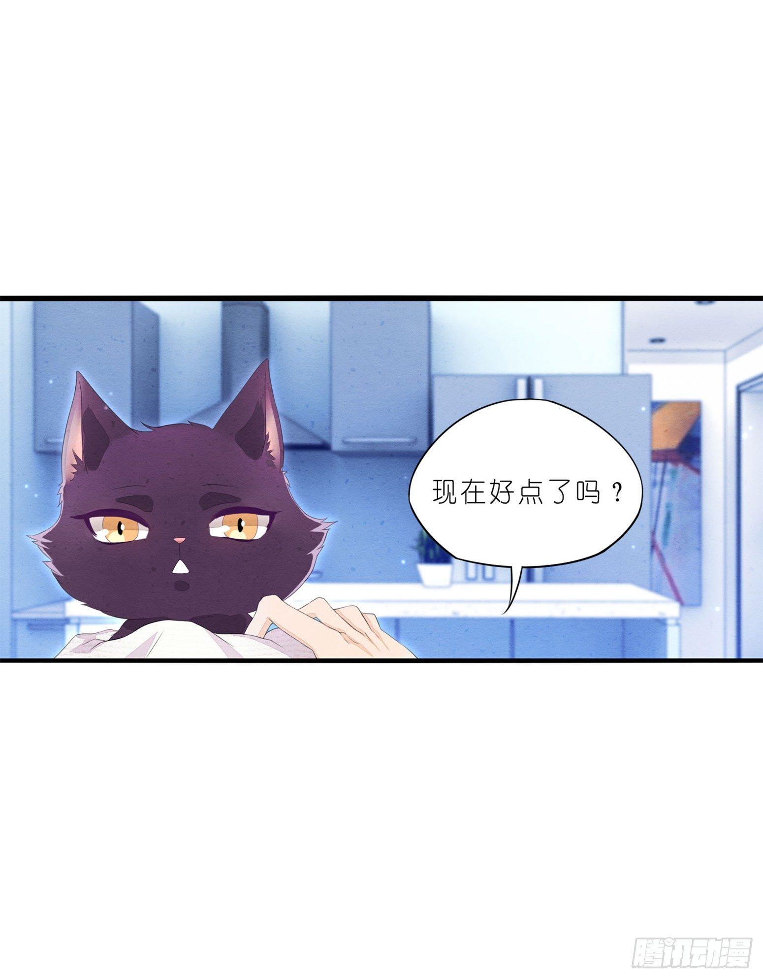 01 天降猫咪-第2话