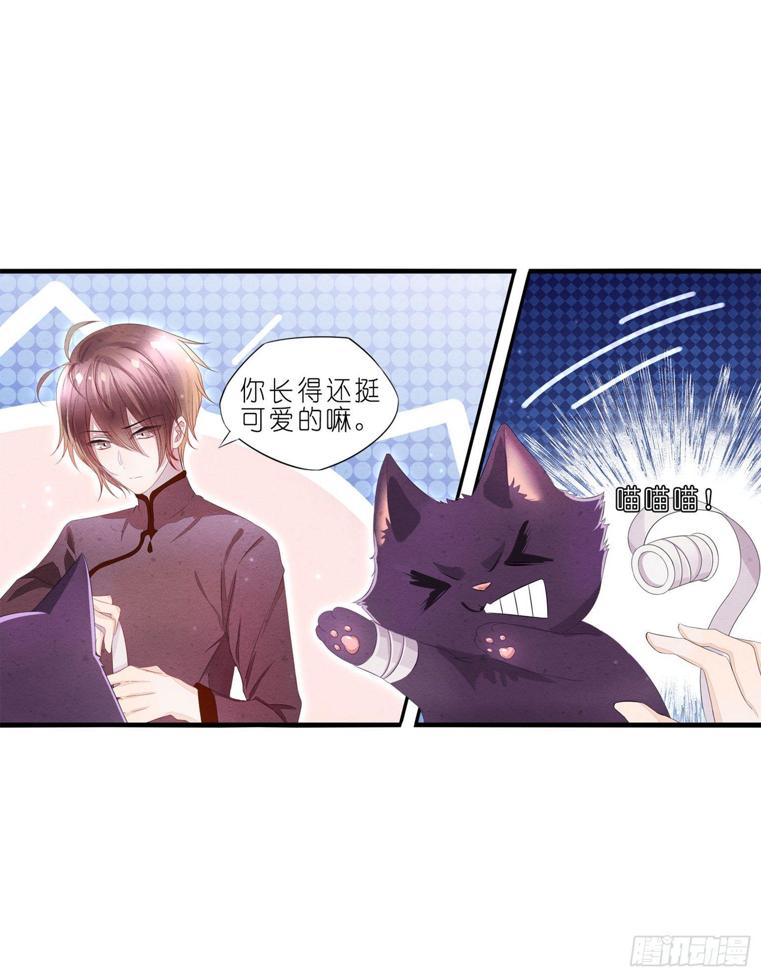 01 天降猫咪-第2话