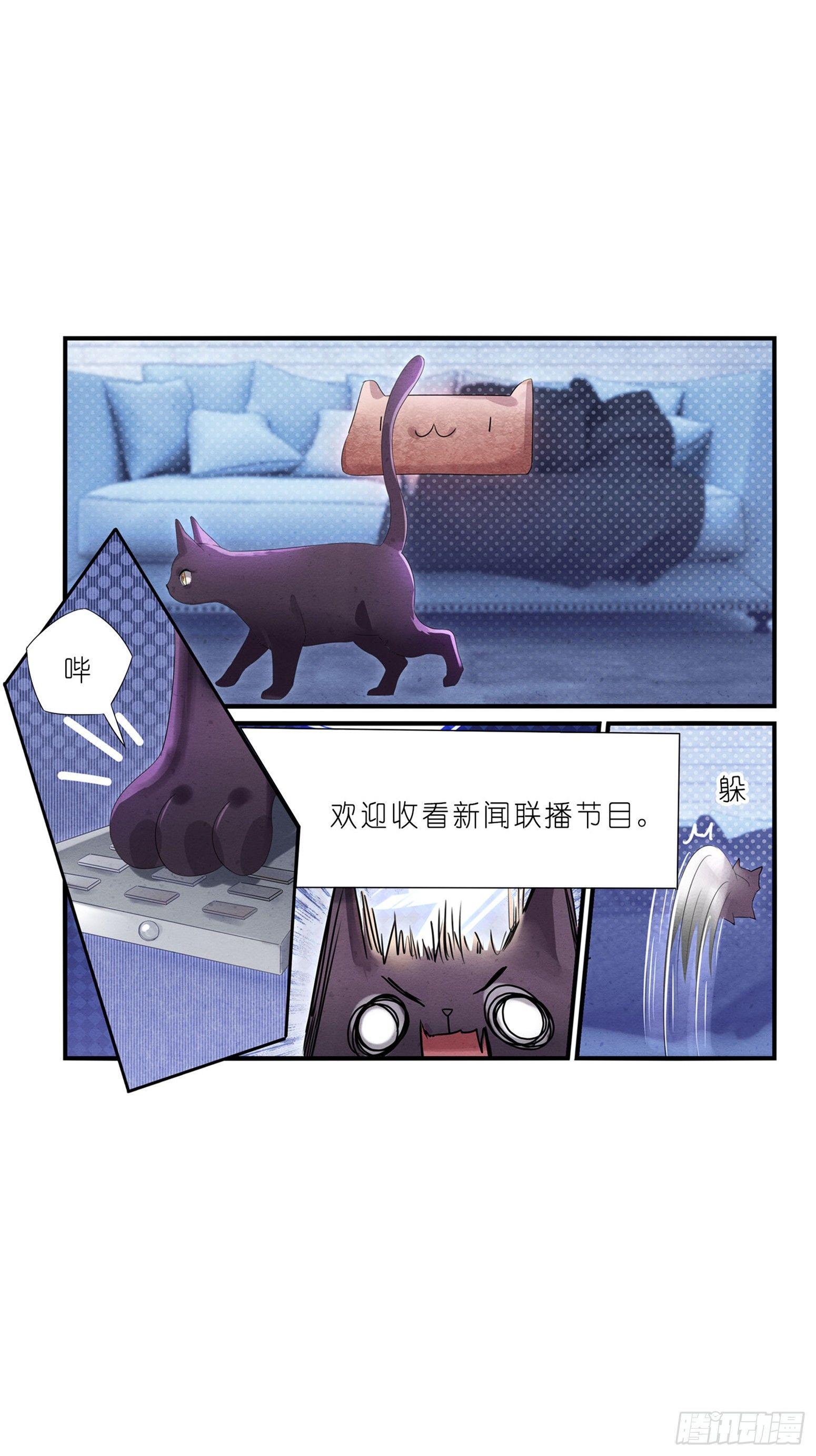 03 秃了也强了-第4话