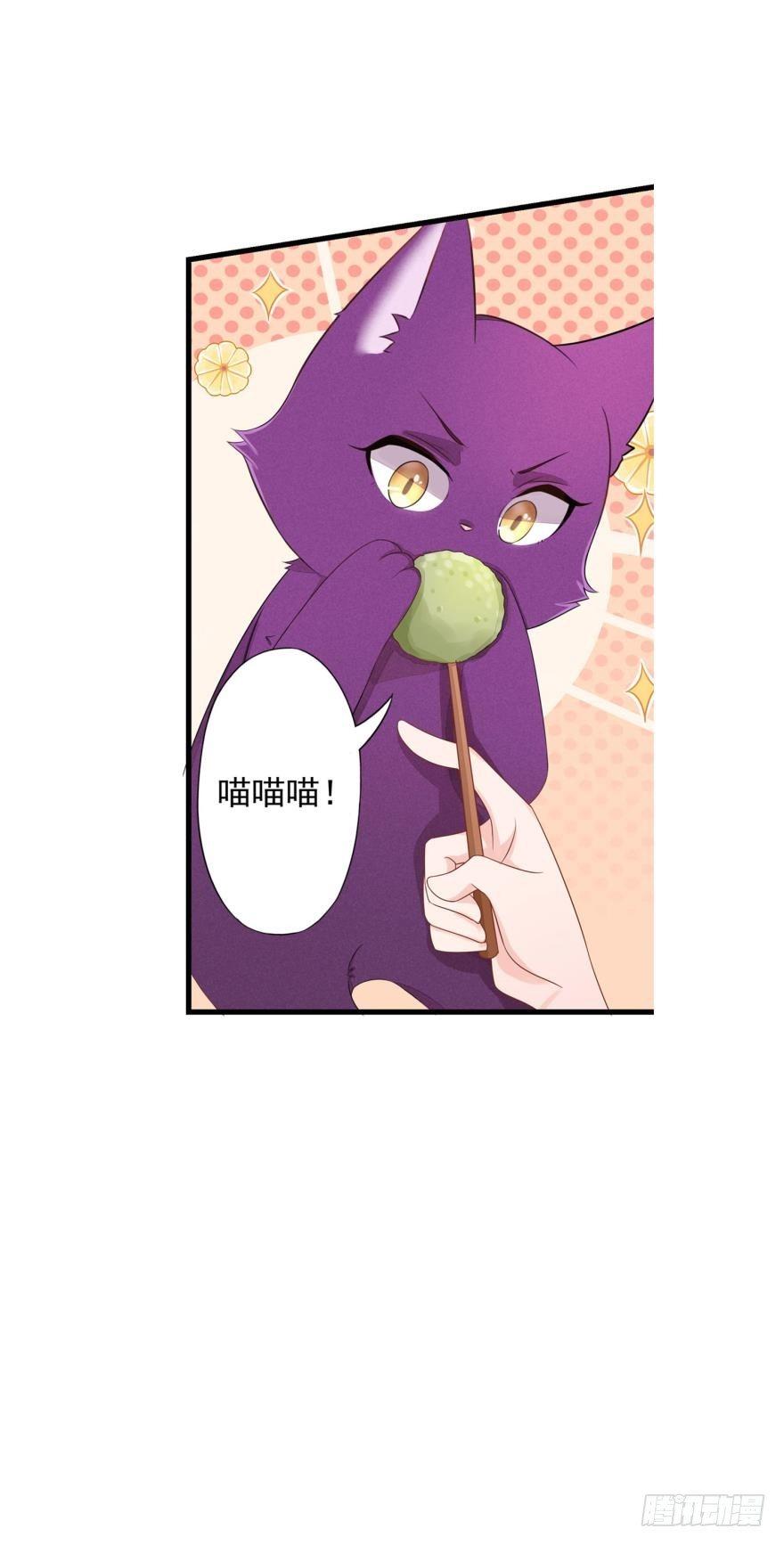 07 猫薄荷吸嗨了-第8话