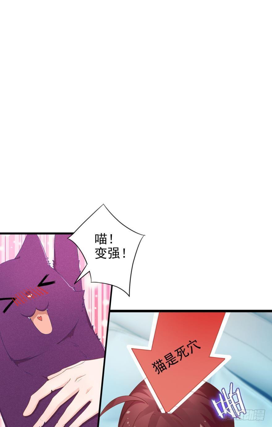 07 猫薄荷吸嗨了-第8话