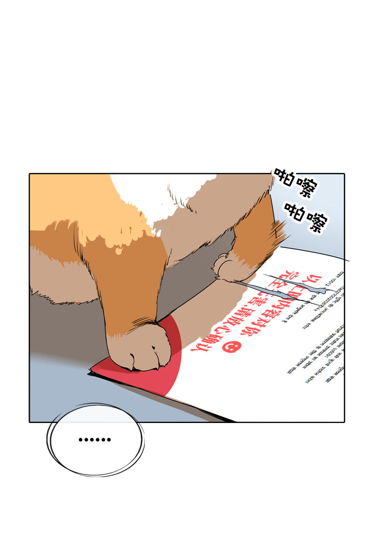 第104话-第106话