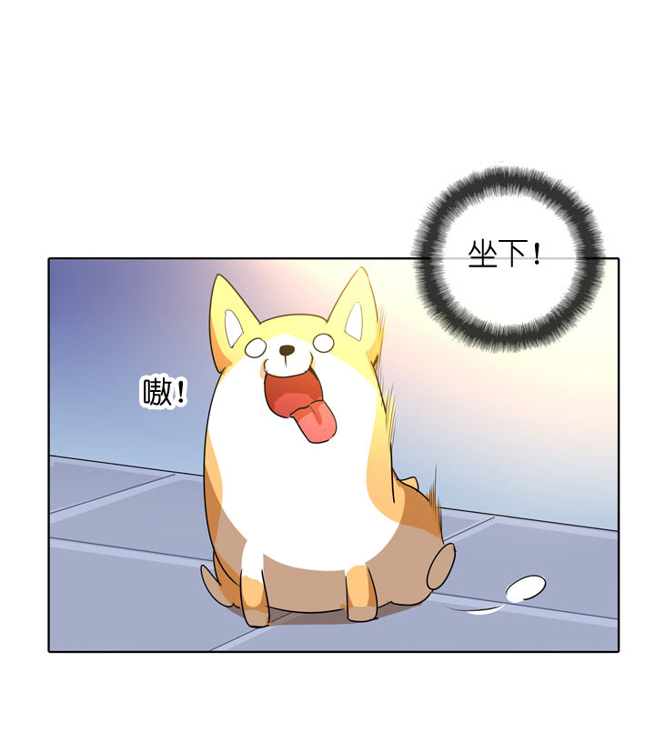 第104话-第106话