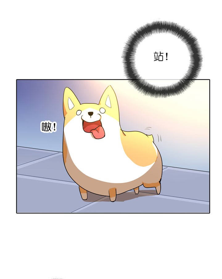 第104话-第106话
