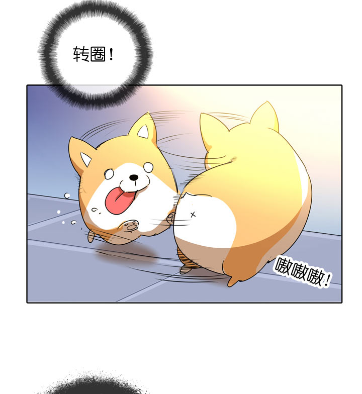 第104话-第106话