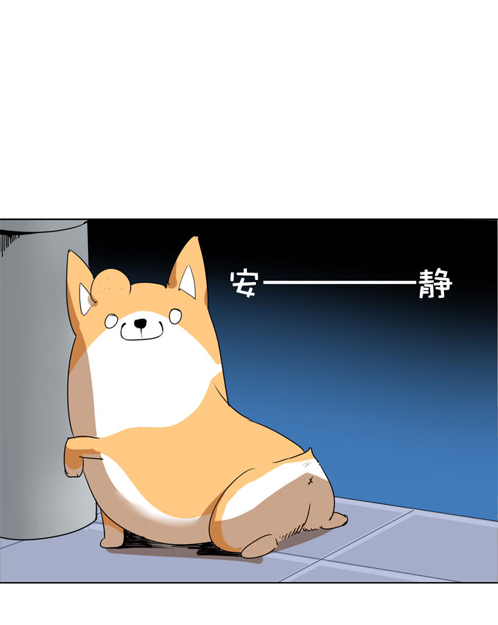 第104话-第106话