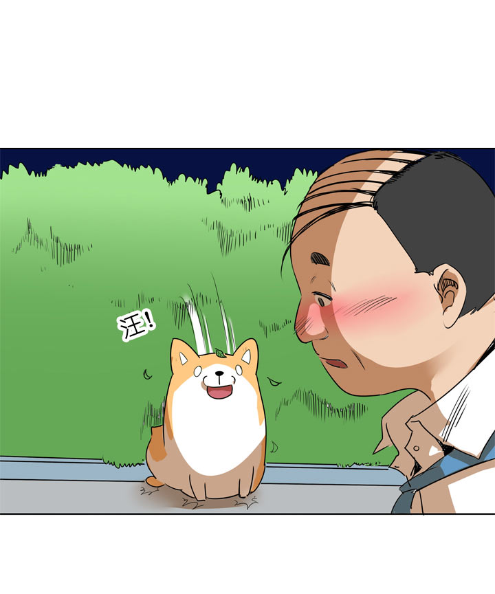 第104话-第106话