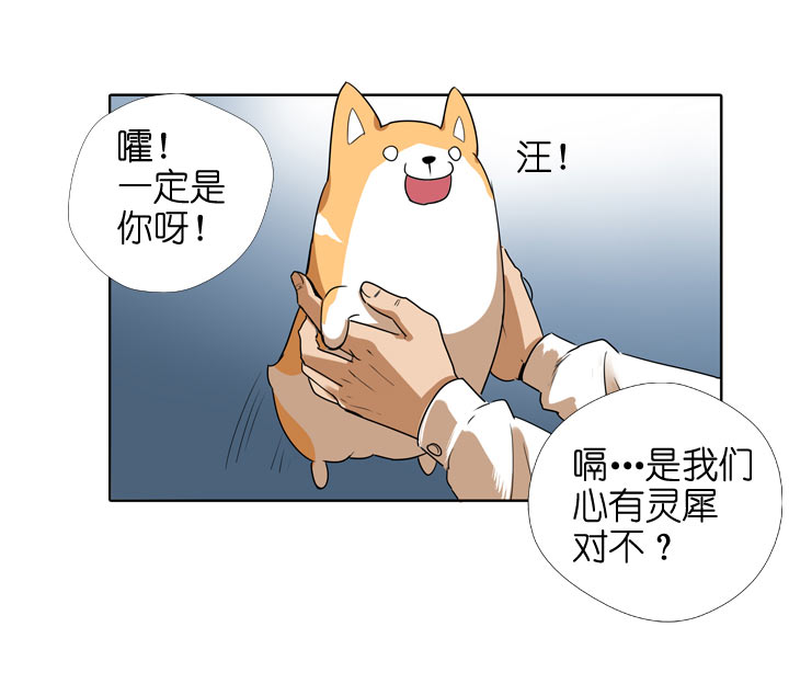 第104话-第106话