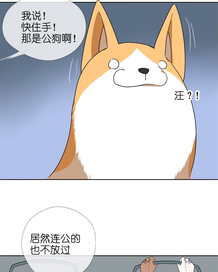 第106话-第108话