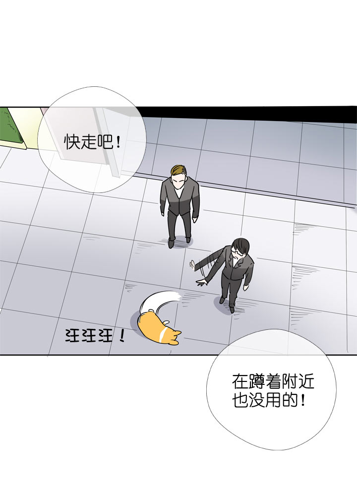 第106话-第108话