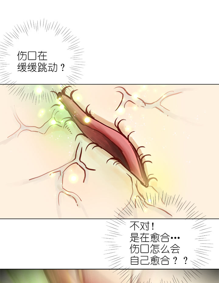 第142话-第146话