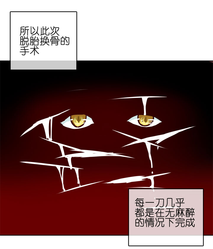 第148话-第152话