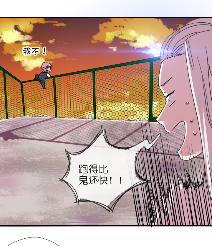 第219话-第224话