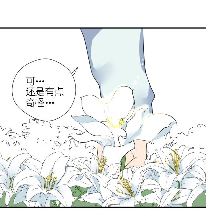 第223话-第228话