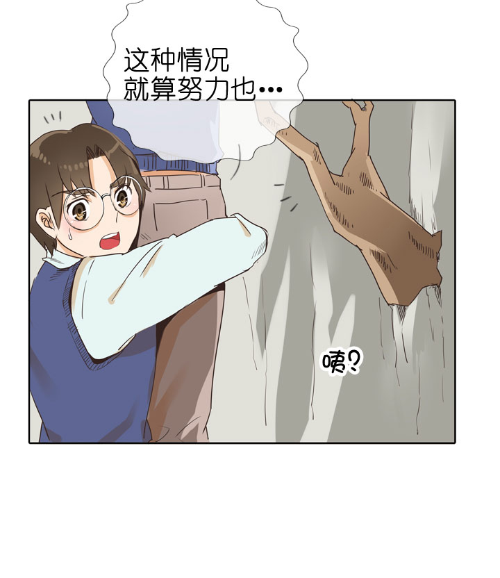 第75话-第76话